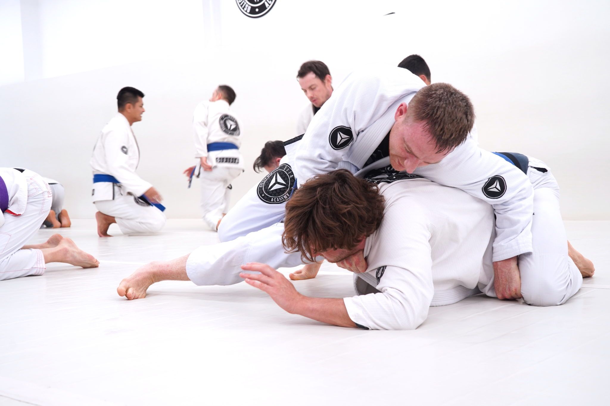 how Jiu Jitsu will benefit your bjj